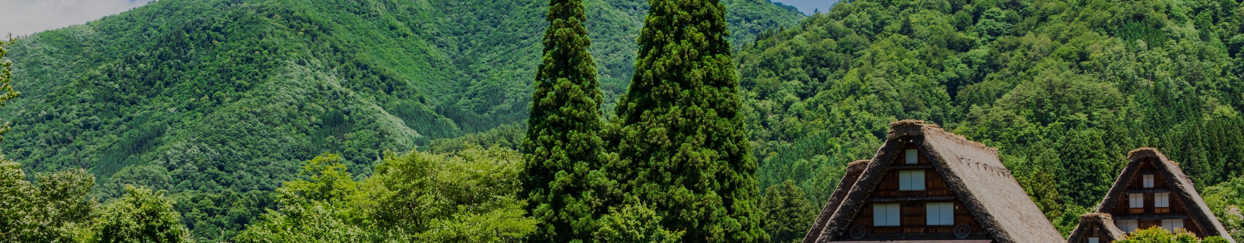 岐阜県発