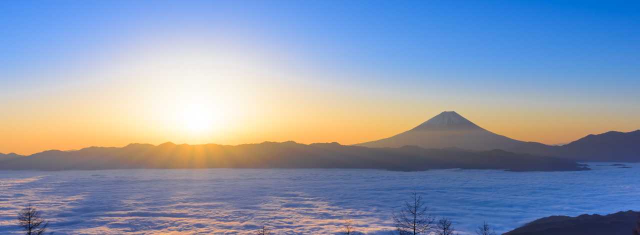 まだ間に合う！年末年始の帰省・イベントにもおすすめの高速バス・夜行バス