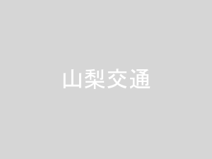 新宿〜諏訪・岡谷・茅野線