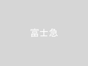 新宿〜諏訪・岡谷・茅野線