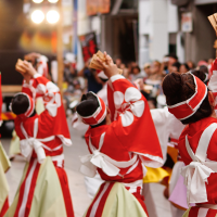 高知よさこい祭り