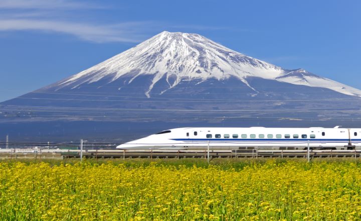 菜の花畑を走る新幹線