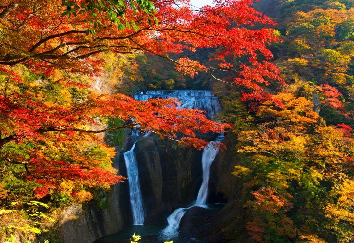 袋田の滝と紅葉